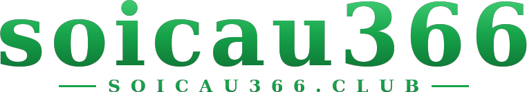 soicau366 logo